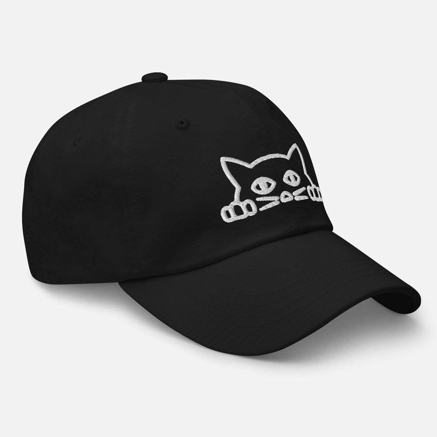 Cat hat